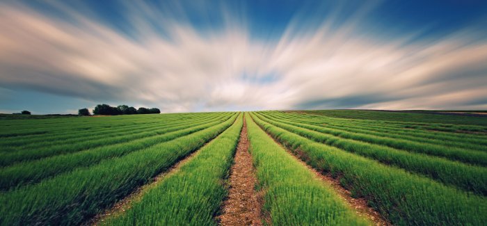 Agricole